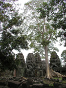 1226PC018493