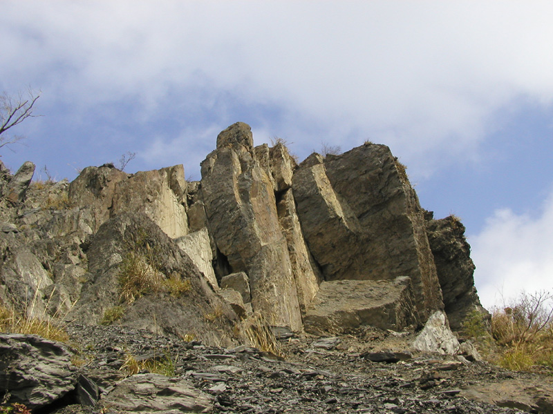 050P2059863