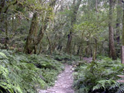140P2058997