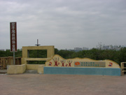 004P4069306