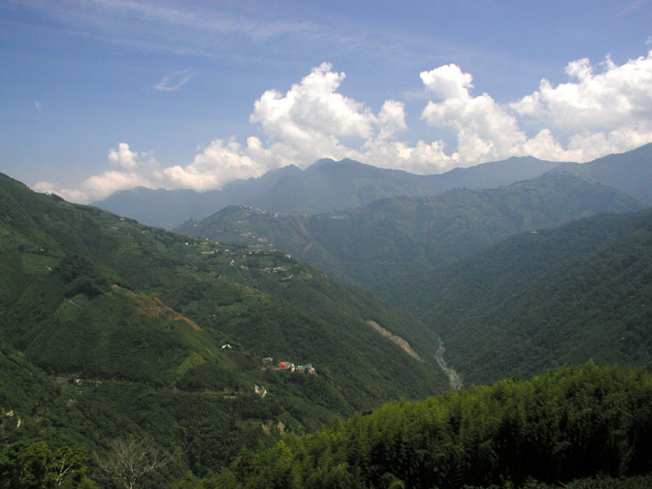 P7190036