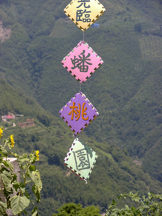 P7190042_2