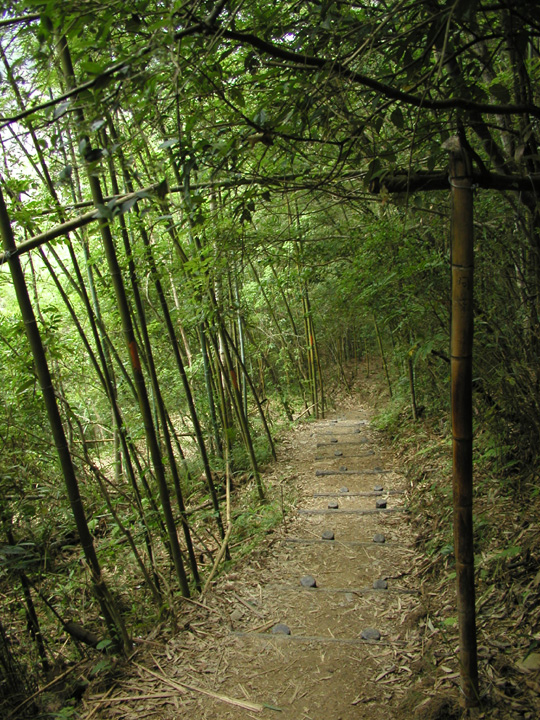 P7190058