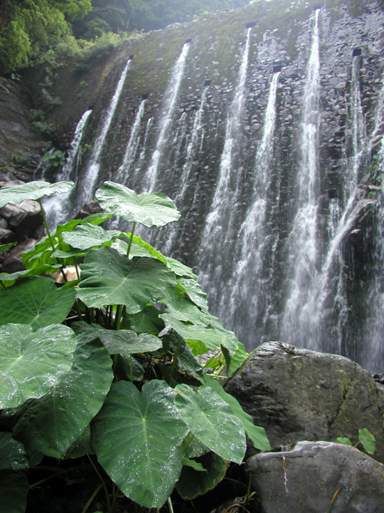 P7190066