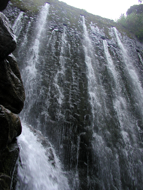 P7190074