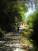 P7190024