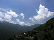 P7190025