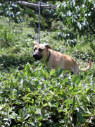 P7190032
