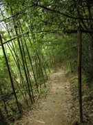 P7190058