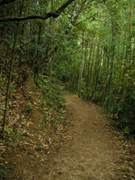 P7190099