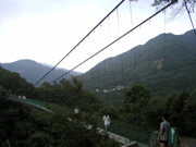 P7190142