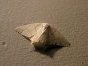 P7193298