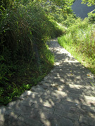 P720038P7203321