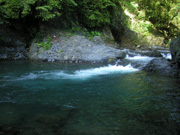 P720050P7203333