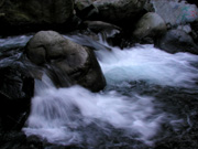 P720053P7203336