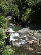 P720210P7203351
