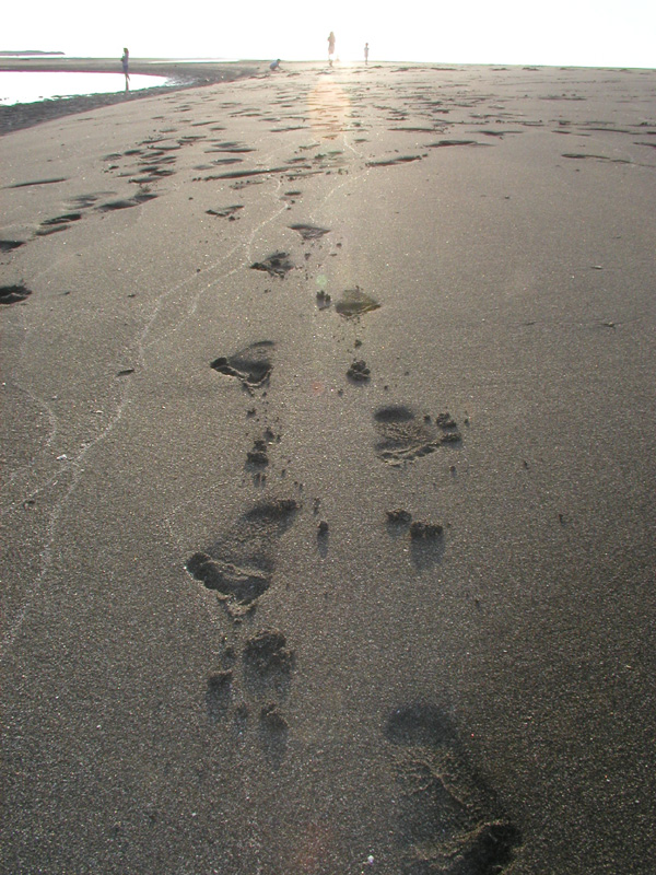 P1013679