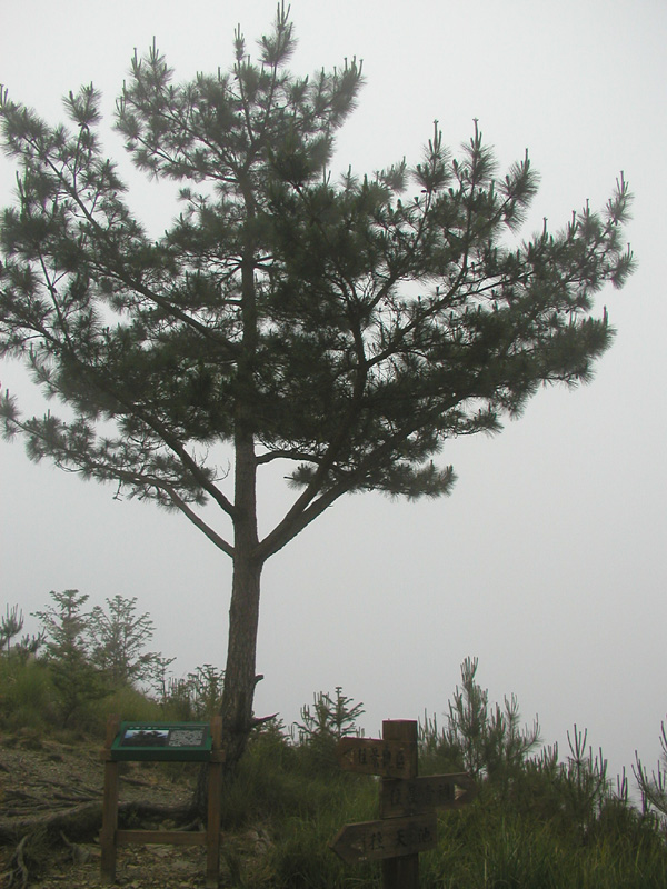 P5270460