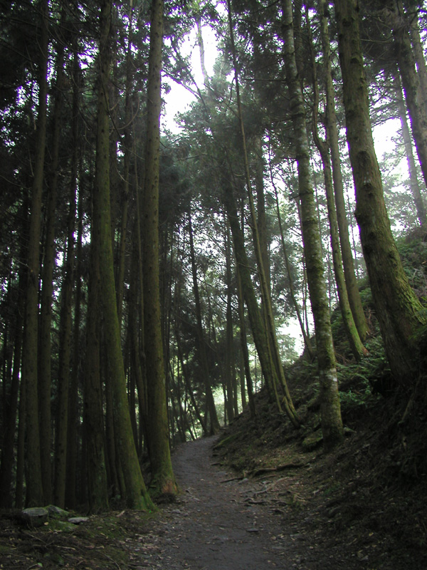 P8242003