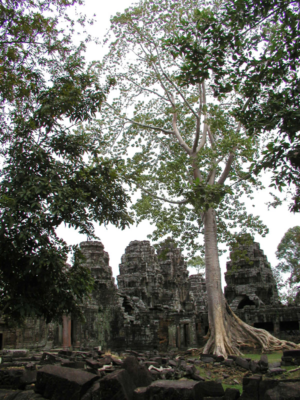 1226PC018493