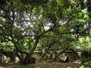P7052862