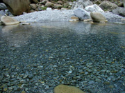 P8013429