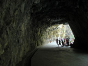 P8023503