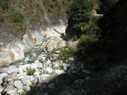 P8023551